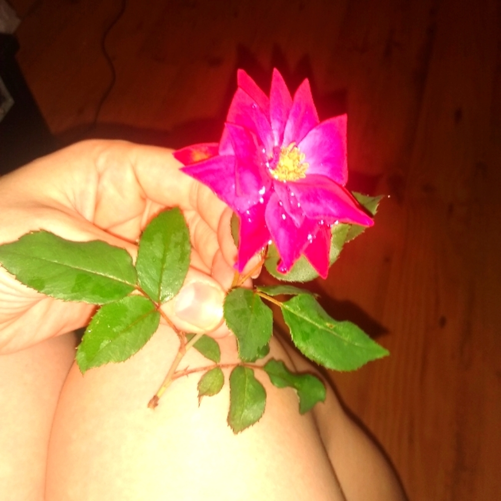 Meet your Posher, Ashley